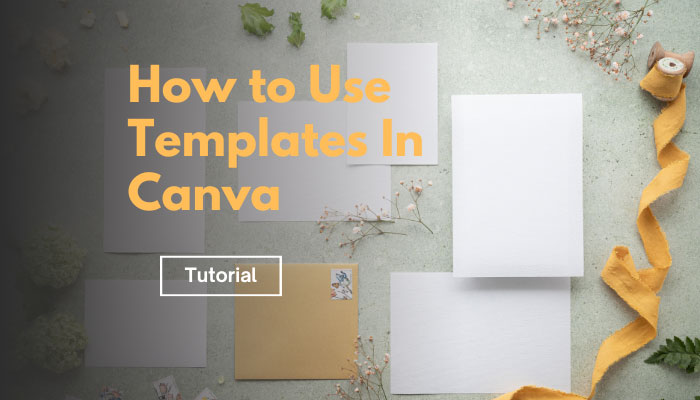 How To Use Templates In Canva