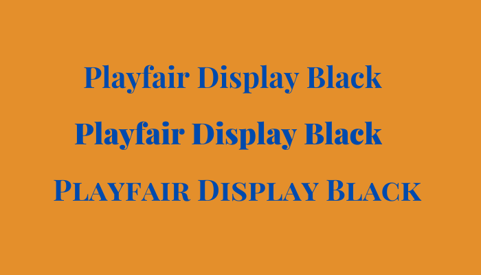 Canva Birthday Invitation Playfair Display Black