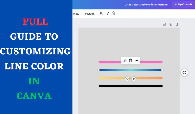 Customizing Line Color in Canva