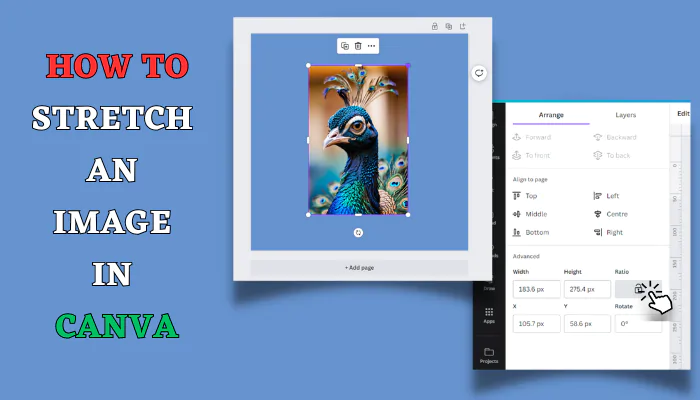 How To stretch an image in Canva