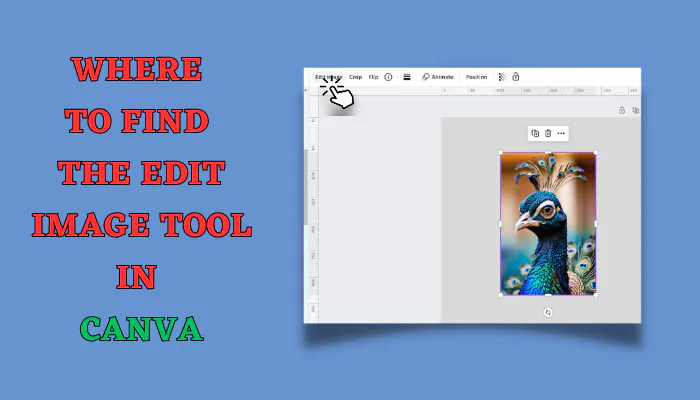 Where to Find the Edit Image Tool in Canva