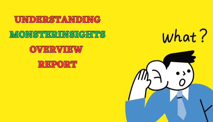Understanding MonsterInsights Overview Report
