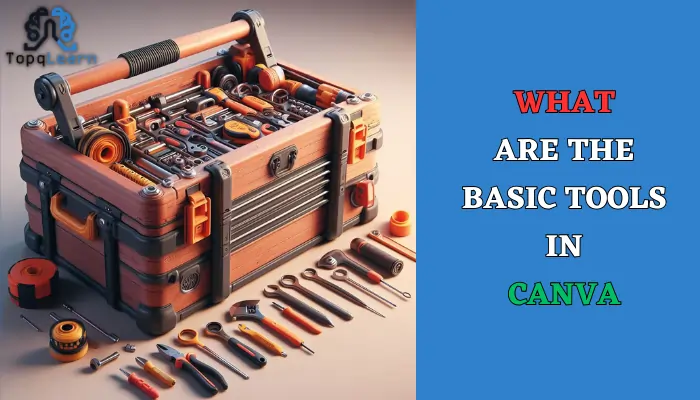 What are the Basic Tools in Canva