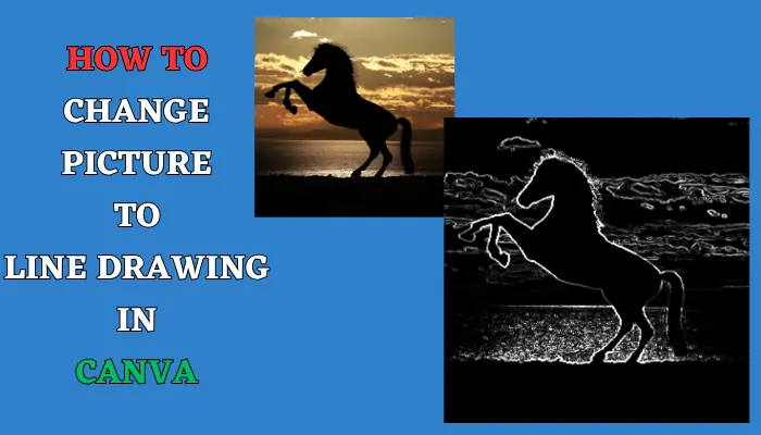 How to Change Picture to Line Drawing in Canva