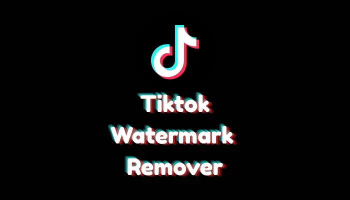 Best TikTok Watermark Remover (2026 AI-Quality Rankings)