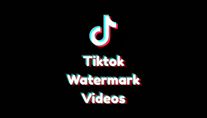 How to Watermark TikTok Videos? (2026 Protection Guide)