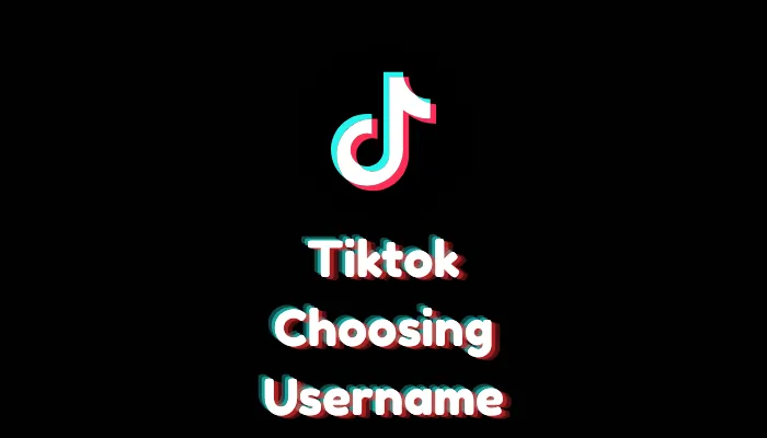 What Should I Put as My TikTok Username?