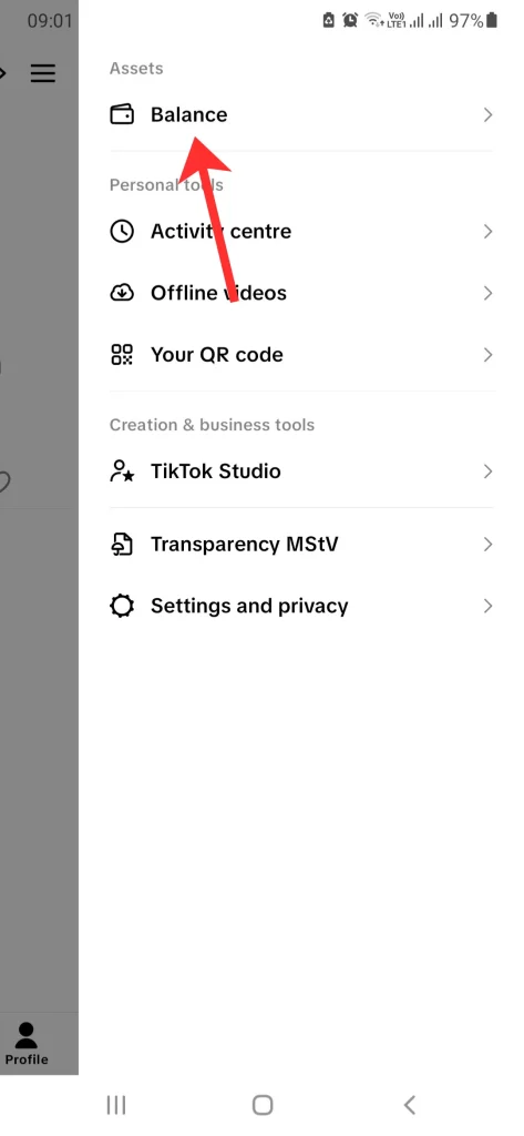 select the Balance tab